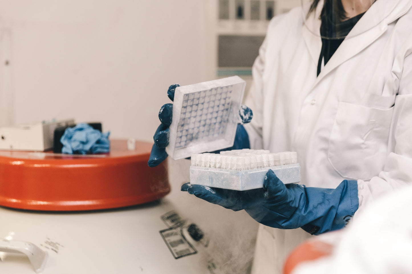 B&B Bio Mycobacterium tuberculosis (MTB) qPCR Kit