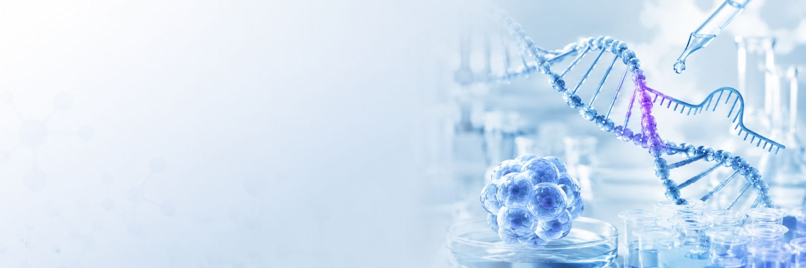 CRISPR Cas genome editing illustration with DNA, guide RNA, and editing complex