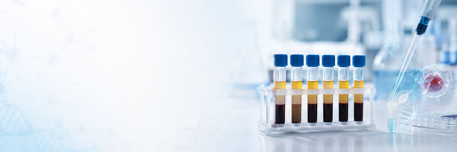 Plasma sample and circulating cell-free DNA fragments represented for liquid biopsy sequencing research