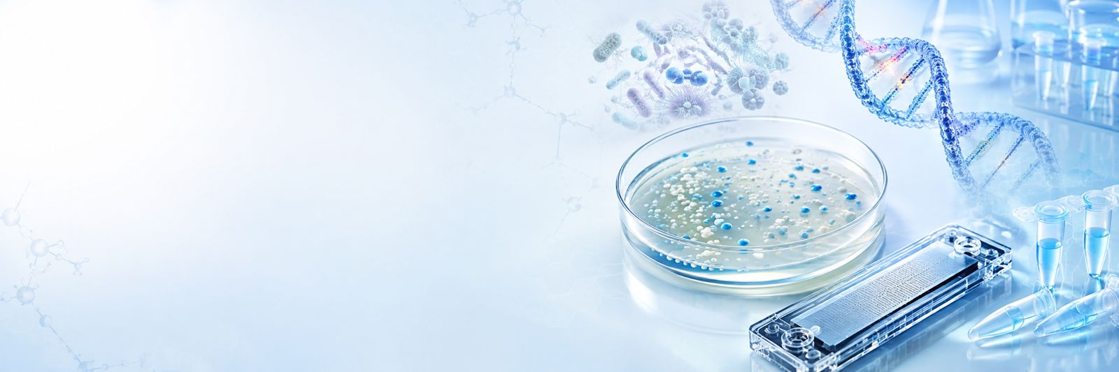 Microbial cells and DNA representing microbiome and bacterial genome sequencing