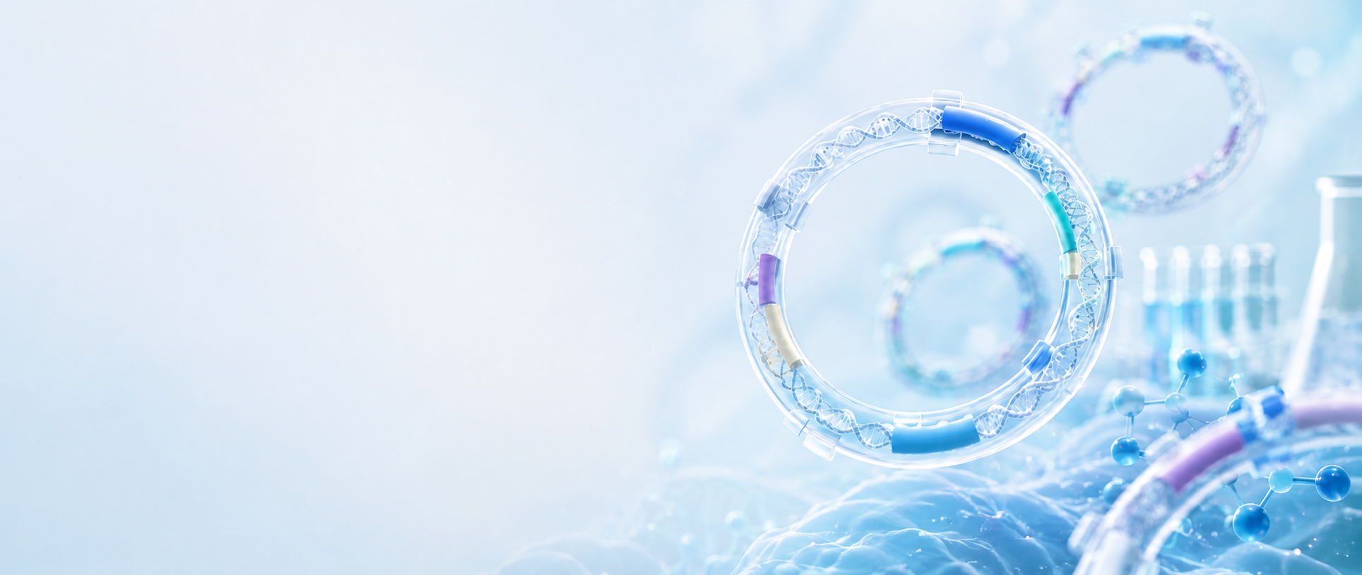 Plasmid vector illustration showing a circular DNA construct and gene insert