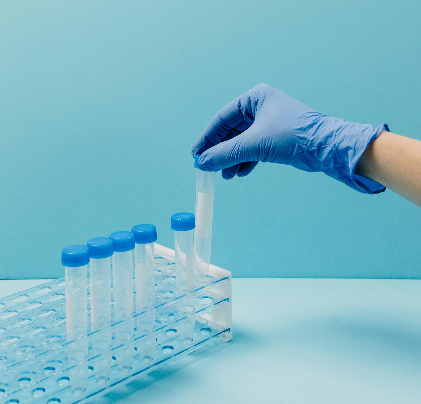 B&B Bio Multiplex Respiratory Pathogen Panel RT-PCR Kit